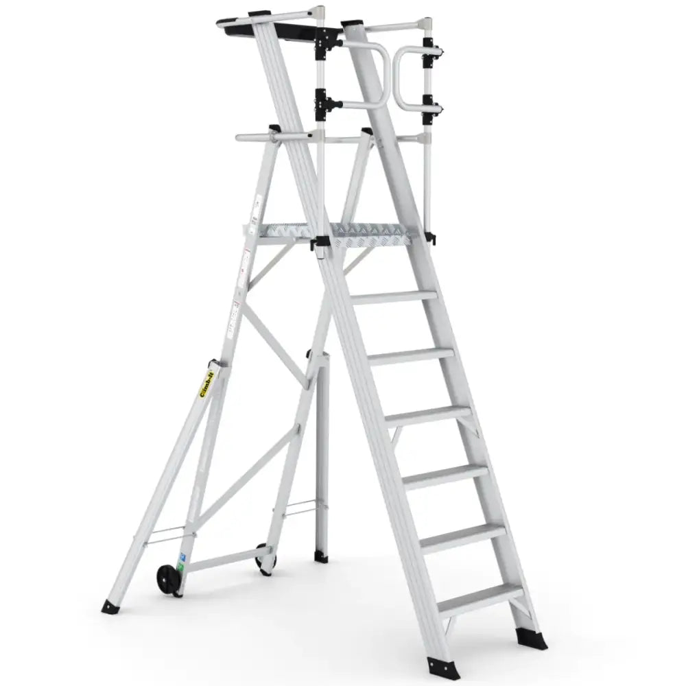 Climb-it large platform folding steps with safety gates