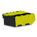 Attached lid containers with coloured lids