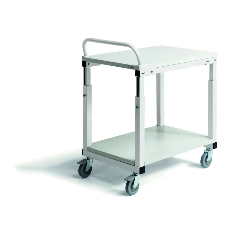 Mobile ergonomic workbenches