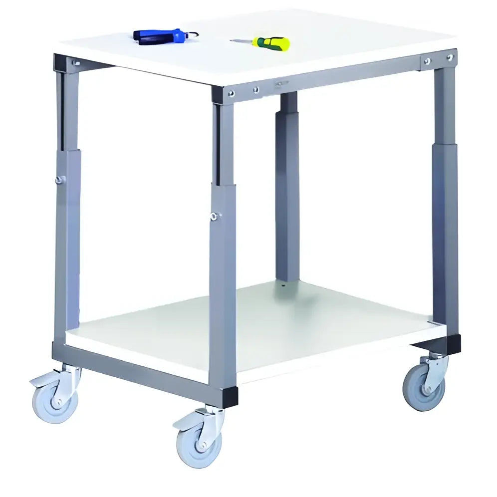 Mobile ergonomic workbenches