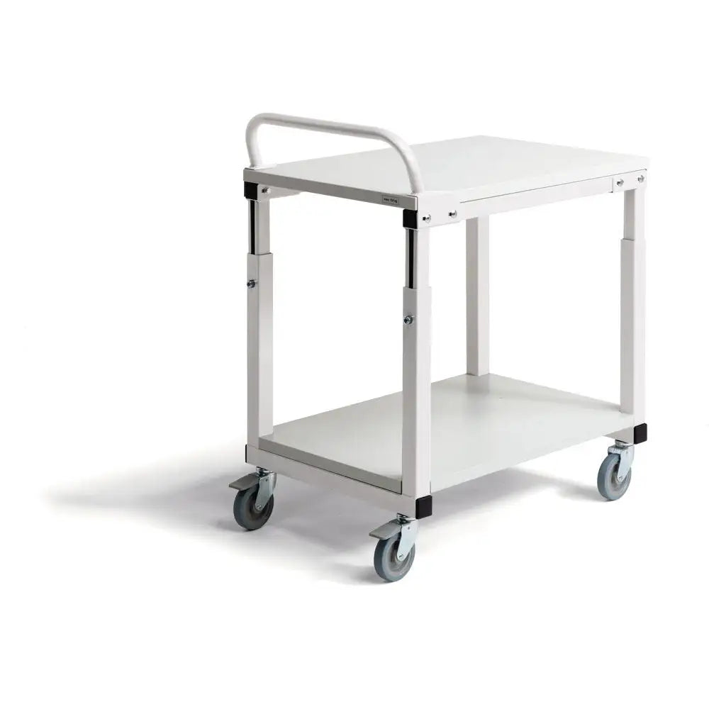 Mobile ergonomic workbenches