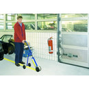 Proline paint marking systems