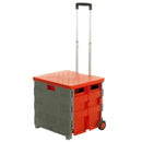 Proplaz folding box truck grey/red with removable lid