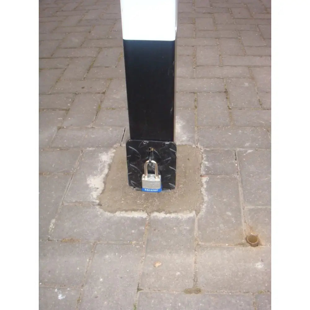 Removable security posts