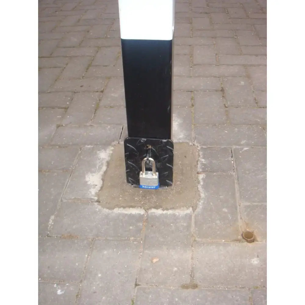 Removable security posts