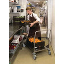 Stainless steel platform trucks